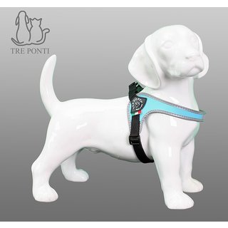 Fibbia Verstelbaar Blauw 1,5-4kg