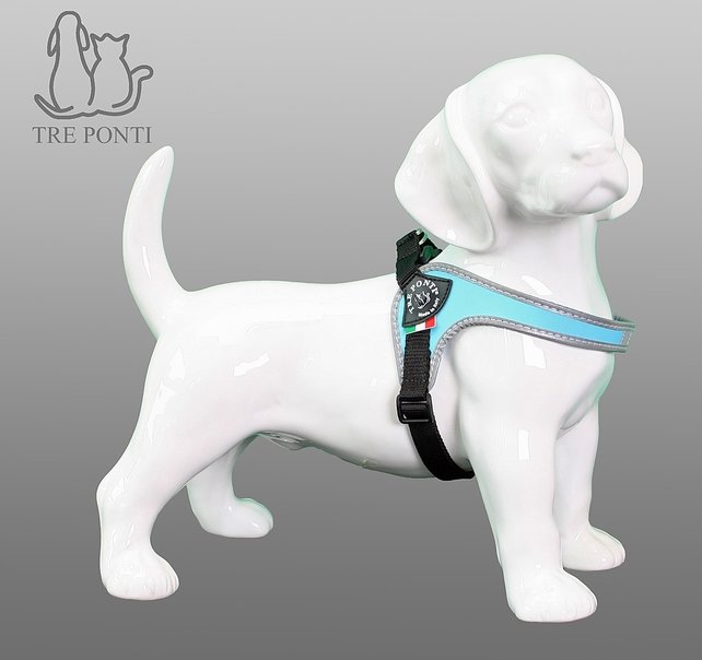 Fibbia Verstelbaar Blauw 1,5-4kg