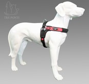 Forza Rood Standaard XXL 40-60 kg