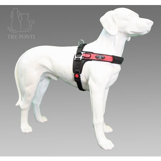 Forza Rood Standaard XXL 40-60 kg