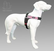 Forza Roze Standaard L 20-30 kg