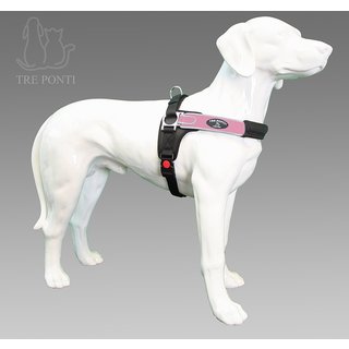 Forza Roze Standaard L 20-30 kg