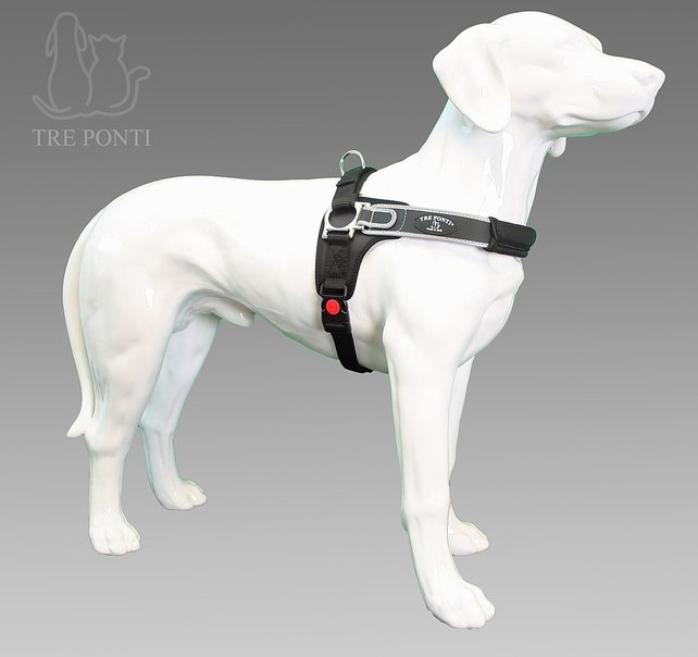 Forza Zwart Standaard XL 30-40 kg