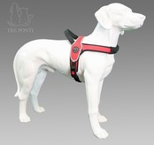 Primo Rood Reflective XL 30-40kg