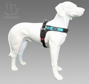 Forza Blauw Standaard M 10-20kg