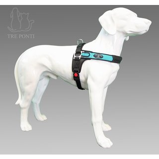 Forza Blauw Standaard M 10-20kg