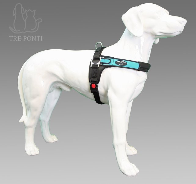 Forza Blauw Standaard M 10-20kg