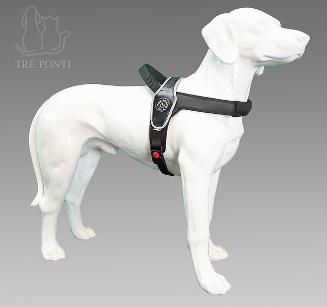 Primo Zwart Reflective L 20-30kg