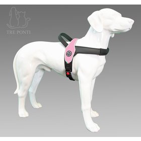 Primo Roze Reflective M 10-20kg