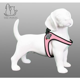 Fibbia Roze Standaard 1-3kg