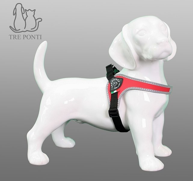 Fibbia Verstelbaar Rood Reflective 1-3kg Fibbia Verstelbaar Rood Reflective 1-3kg