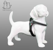 Fibbia Verstelbaar Zwart Reflective 9-14kg