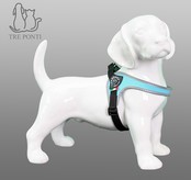 Fibbia Verstelbaar Blauw 3,5-9kg