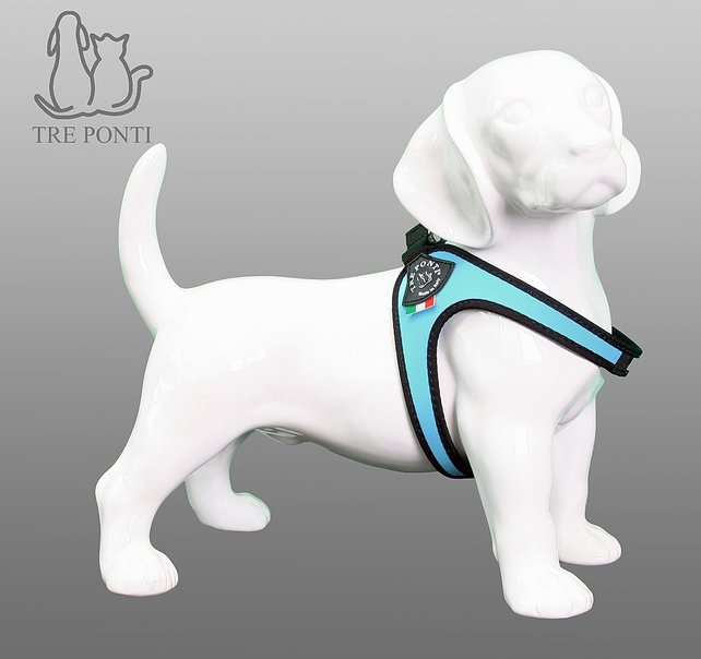 Fibbia Blauw Standaard 4-14kg