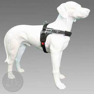 Forza Zwart Standaard L 20-30 kg