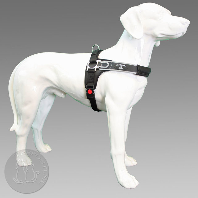 Forza Zwart Standaard L 20-30 kg