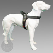 Primo Camou Groen L 20-30kg