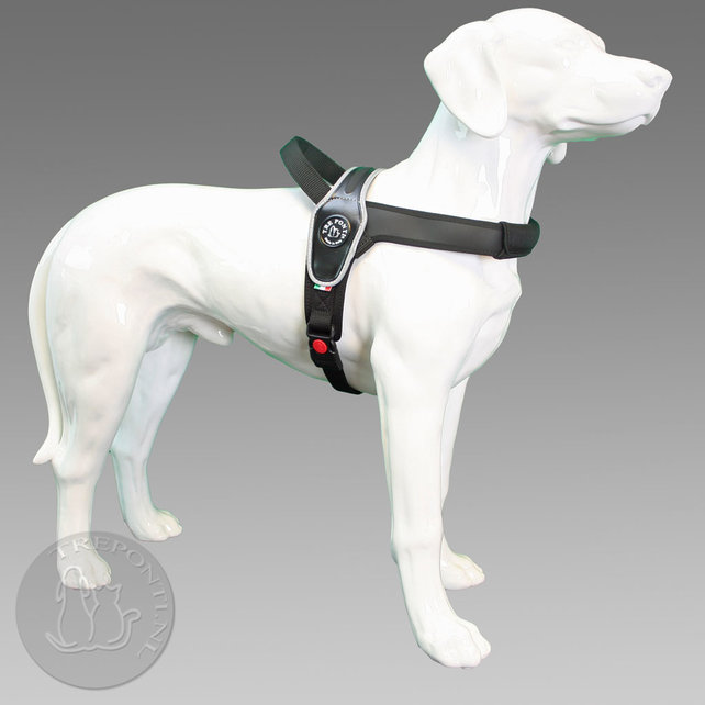 Primo Zwart Reflective M 10-20kg