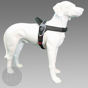 Primo Zwart Reflective XL 30-40kg