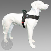 Primo Plus Zwart Full Black XL 30-40kg Primo Plus Zwart Full Black XL 30-40kg