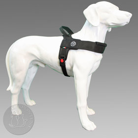 Primo Plus Zwart Full Black XL 30-40kg