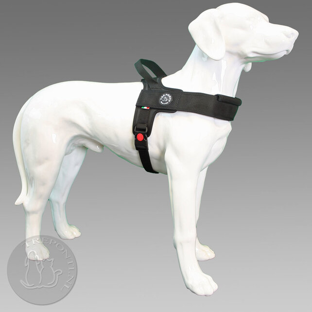 Primo Plus Zwart Full Black XL 30-40kg Primo Plus Zwart Full Black XL 30-40kg