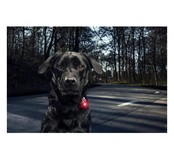 Dog Dual Light Pink (Roze)