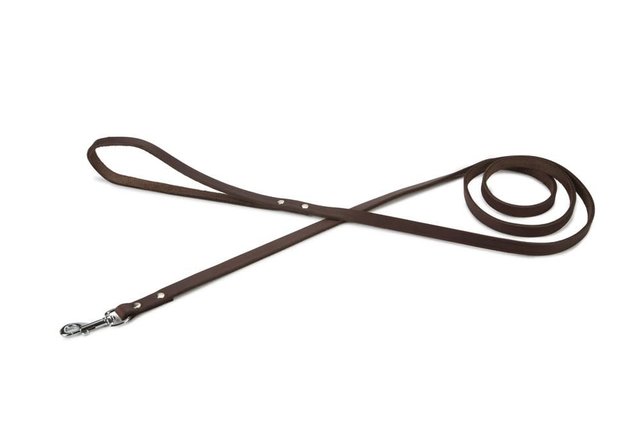 Hondenriem Geniet Bruin 200 cm - 20 mm