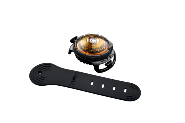 Dog Dual Light Yellow (Geel)