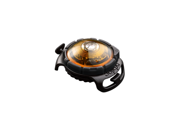 Dog Dual Light Yellow (Geel)