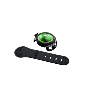Dog Dual Light Green (Groen)