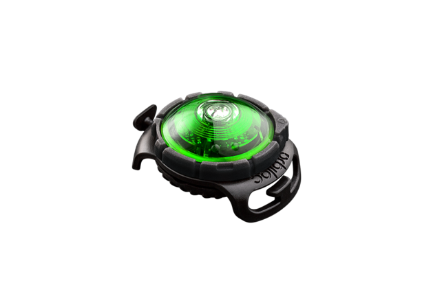 Dog Dual Light Green (Groen)