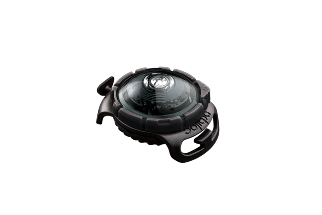 Dog Dual Light Dark (Zwart)