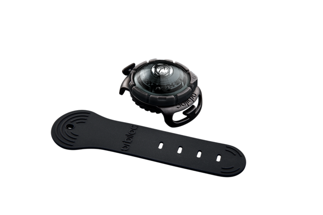 Dog Dual Light Dark (Zwart)