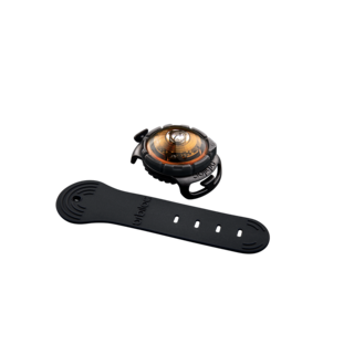 Dog Dual Light Amber (Oranje)