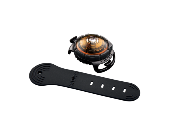 Dog Dual Light Amber (Oranje)