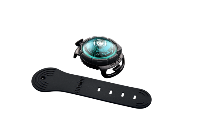 Dog Dual Light Turquoise Dog Dual Light Turquoise