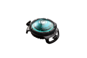 Dog Dual Light Turquoise Dog Dual Light Turquoise