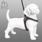 Liberta Zwart Relective 5-6 kg