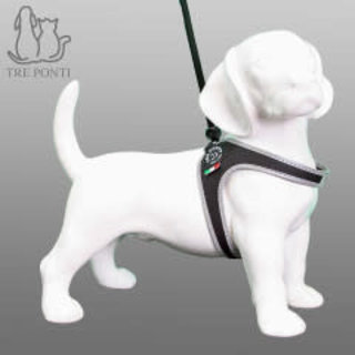 Liberta Zwart Relective 3-4 kg