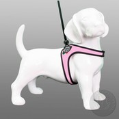 Liberta Roze Standaard 1-3kg