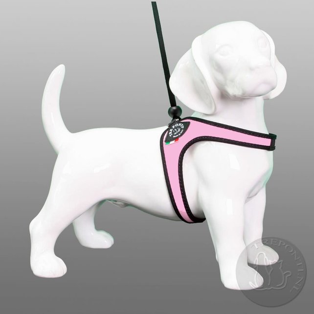 Liberta Roze Standaard 1-3kg