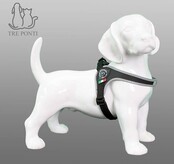 Fibbia Verstelbaar Zwart Reflective 2,5-6 kg