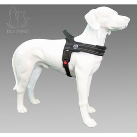 Primo Plus Zwart Reflective L 20-30kg