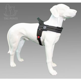 Primo Plus Zwart Reflective L 20-30kg