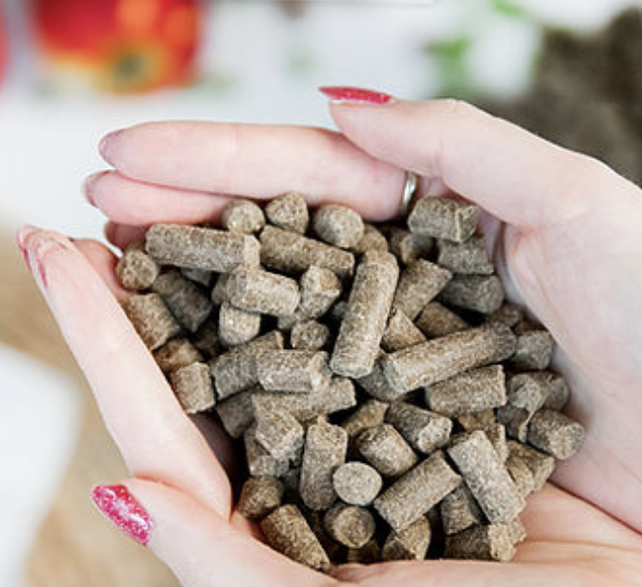 Brok Verse Zalm Graanvrij 4 Kg