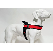 Primo Plus Rood L 20-30kg