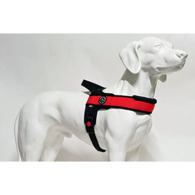 Primo Plus Rood M 10-20kg