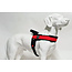 Tre Ponti Tre Ponti Primo Plus Rood M 10-20kg