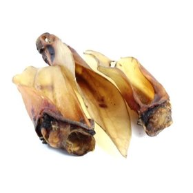 AKTIE!! Buffeloor met schelp 10 stuks